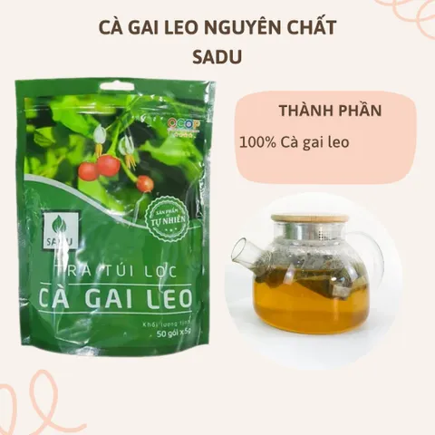 1 KG Trà cà gai leo Sadu,Trà túi lọc dễ sử dụng,dùng hàng ngày,hạn sử dụng 24 tháng