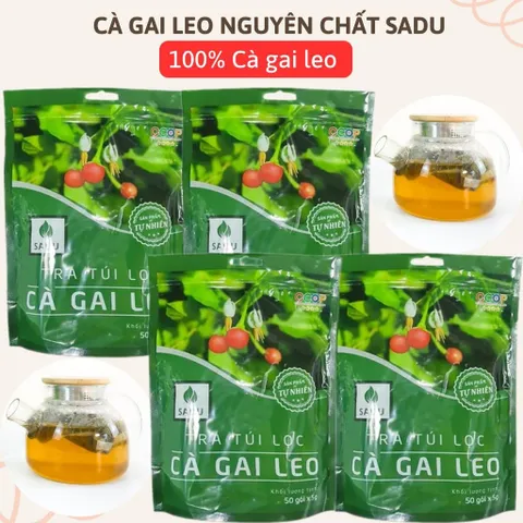 1 KG Trà cà gai leo Sadu,Trà túi lọc dễ sử dụng,dùng hàng ngày,hạn sử dụng 24 tháng