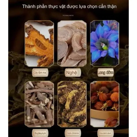 Miếng Dán Thai Doc Gan Thanh lọc ,Loại Bỏ Độc Tố Và Ngủ Ngon Giấc Hộp 5 Miếng