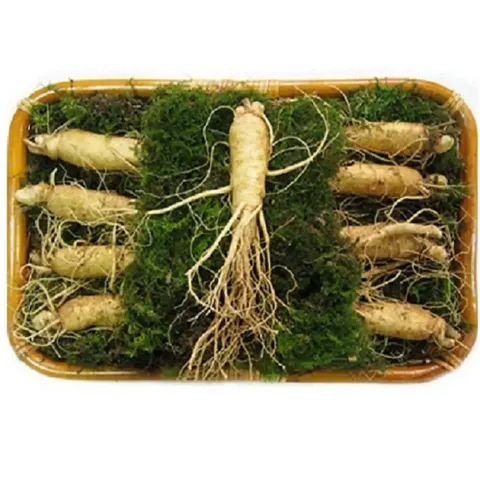 Sâm Tươi Hàn Quốc 9 Củ 1kg Loại 1 Dinh Dưỡng Cao, Hỗ Trợ Sức Khỏe, Chăm Sóc Da, Tăng Cường Trí Nhớ