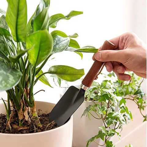 Bộ 5 món làm vườn cào, cuốc, xẻng mini cho chậu cây cảnh bonsai nội địa Nhật Bản Nakaya