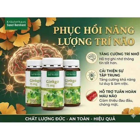 Viên uống bổ não Ginkgo Kapseln 75mg Sanct Bernhard Đức - 240V