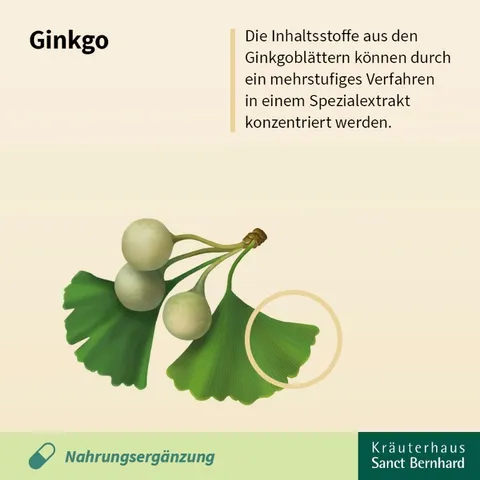 Viên uống bổ não Ginkgo Kapseln 75mg Sanct Bernhard Đức - 240V