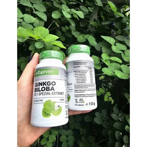 Viên uống bổ não Ginkgo Biloba 6000 Vit4ever tăng sức khỏe, tuần hoàn máu não,tăng cường trí nhớ, nội địa Đức - 365 Viên
