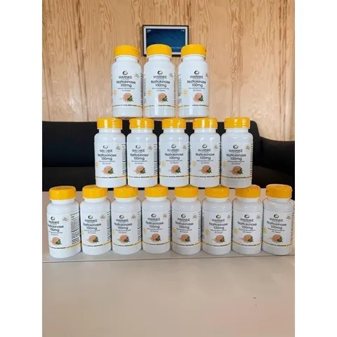 Viên uống phòng ngừa đột quỵ tai biến mạch máu não Nattokinase Warnke 100mg Lọ 250 Viên