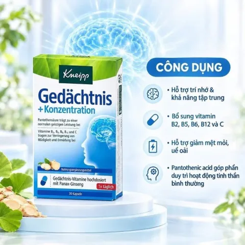 Bổ não nhân sâm Kneipp Gedächtnis + Konzentration của Đức 30v