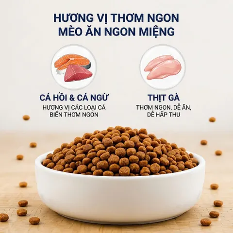 Thức Ăn Hạt Cho Mèo iOiShi Vị Cá Hồi & Thịt Gà – Protein 36% – Hạt Dinh Dưỡng Cho Mèo Trưởng Thành