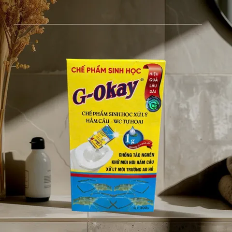 CHẾ PHẨM SINH HỌC G-OKAY CHỐNG TẮC NGHẼN,KHỬ MÙI HÔI HẦM CẦU,XỬ LÝ MÔI TRƯỜNG AO HỒ