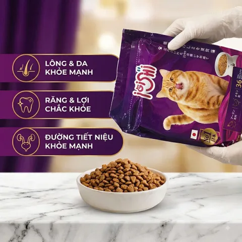 Thức Ăn Hạt Cho Mèo iOiShi Vị Cá Hồi & Thịt Gà – Protein 36% – Hạt Dinh Dưỡng Cho Mèo Trưởng Thành