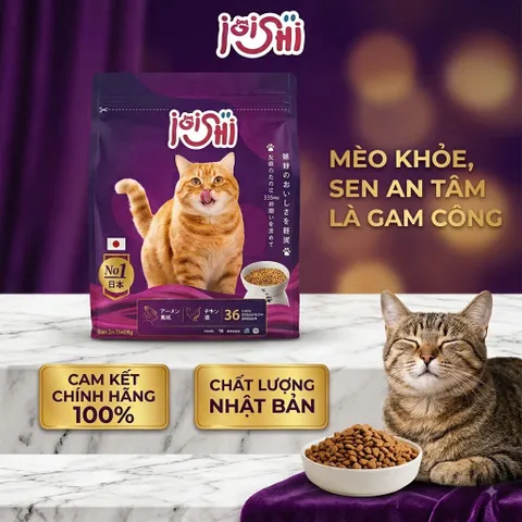 Thức Ăn Hạt Cho Mèo iOiShi Vị Cá Hồi & Thịt Gà – Protein 36% – Hạt Dinh Dưỡng Cho Mèo Trưởng Thành