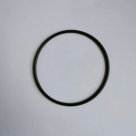 Gioăng cao su cốc lọc nước 20 inch