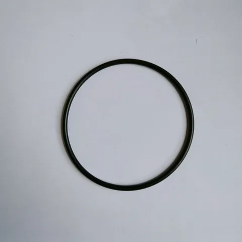Gioăng cao su cốc lọc nước 20 inch