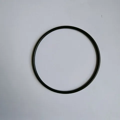Gioăng cao su cốc lọc nước 20 inch