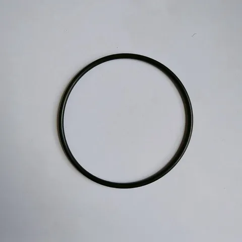 Gioăng cao su cốc lọc nước 20 inch