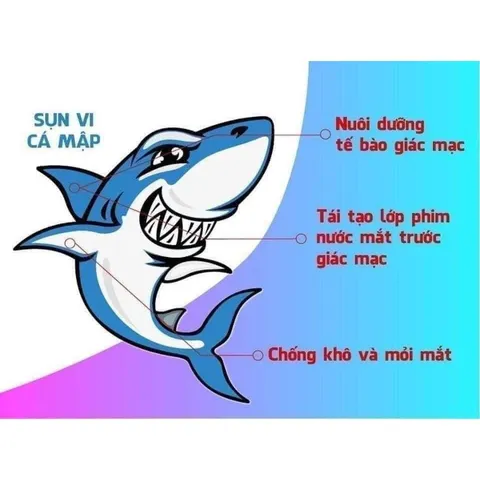 ĐẢM BẢO CHÍNH HÃNG Viên Uống Sụn cá mập Costar Blue Shark Cartilage 750mg 365 viên CỦA ÚC