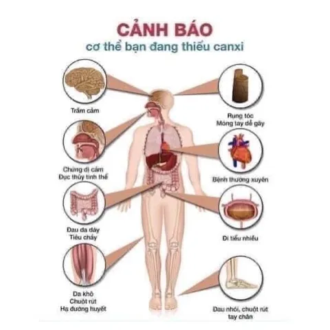 Viên uống bổ sung canxi hữu cơ CITRACAL Maximum Calcium citrate 280viên 863729