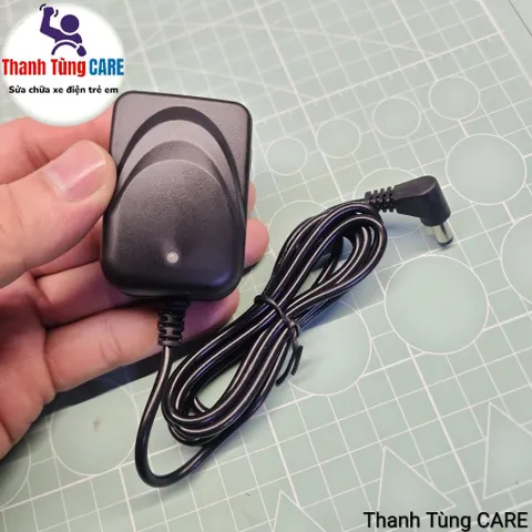 Sạc cân điện tử 4V, Cục sạc pin cân điện tử 4V