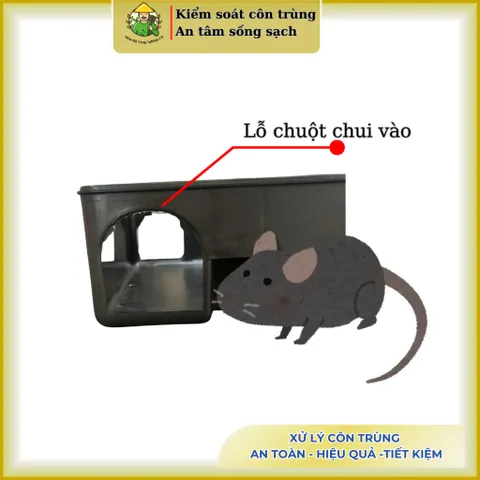Hộp bắt chuột, hộp đặt bẫy chuột an toàn, thông minh, bảo vệ mồi và động vật xung quanh(Tái sử dụng)