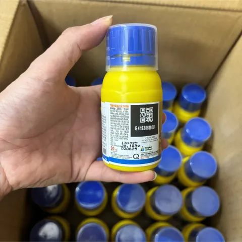 Combo 10 Termize 200sc 50ml – Giải pháp xử lý mối chúa và mối thợ hiệu quả- xử lý mối không mùi