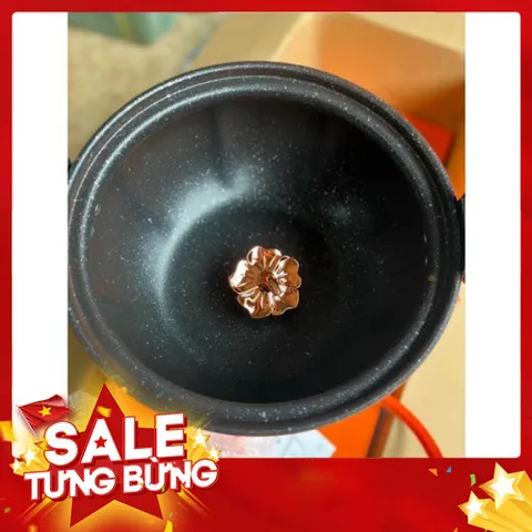 Nồi áp suất bí ngô 8 lit dùng các loại bếp 865114