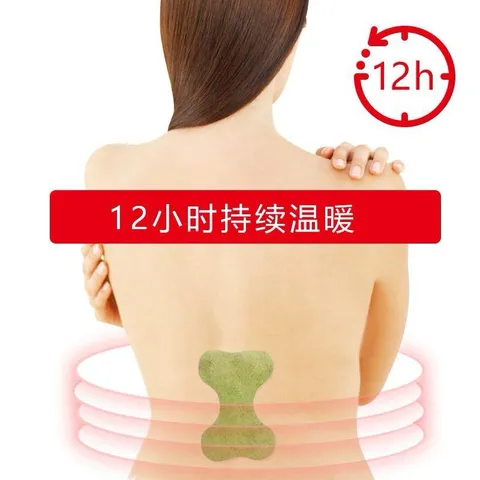 Hộp 12 miếng dán vai, thắt lưng, đầu gối ngải cứu