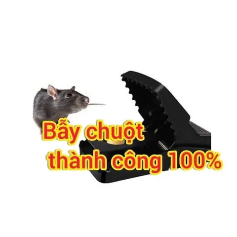 Combo 3 bẫy chuột kẹp nhựa thông minh