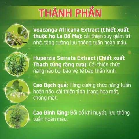 Hoạt Huyết Minh Não Khang Extra hỗ trợ hoạt huyết giảm mệt mỏi đau đầu mất ngủ suy nhược tiền đình 866296
