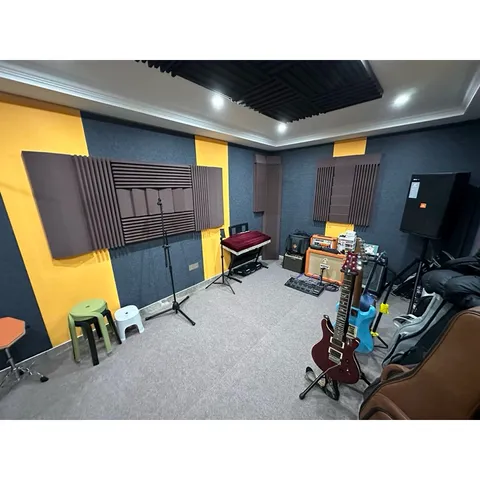Basstrap Studio Foam