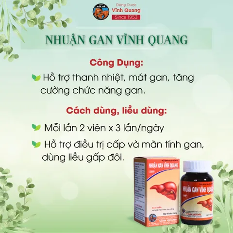 Nhuận Gan VĨNH QUANG - Hỗ trợ thanh nhiệt, tăng cường chức năng gan, gan nhiễm mỡ - Hộp 60 viên