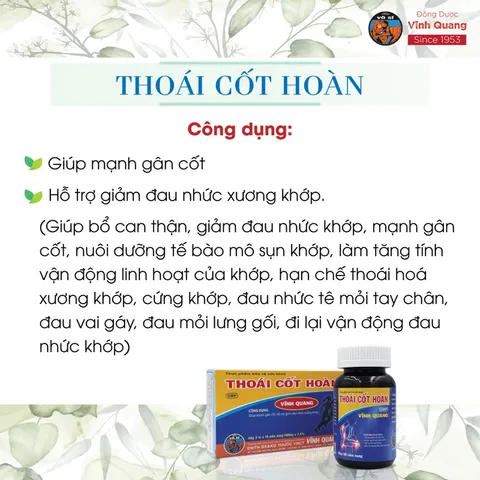 Thoái Cốt Hoàn hộp 60 viên Hỗ trợ giảm đau nhức xương khớp do vận động, đá bóng, thể thao