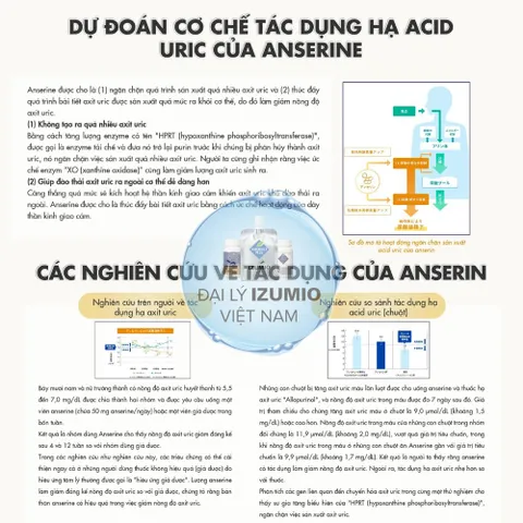 [Xuất kèm VAT] Viên Uống Hỗ Trợ Giảm Các Triệu Chứng Của Gout Nhật Bản Anserine Premium | Hộp 120 Viên