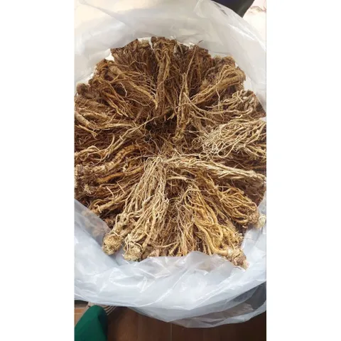 SÂM ĐƯƠNG QUY khô -🌿 SÂM VÀNG CỦA NGƯỜI VIỆT !!! 868524