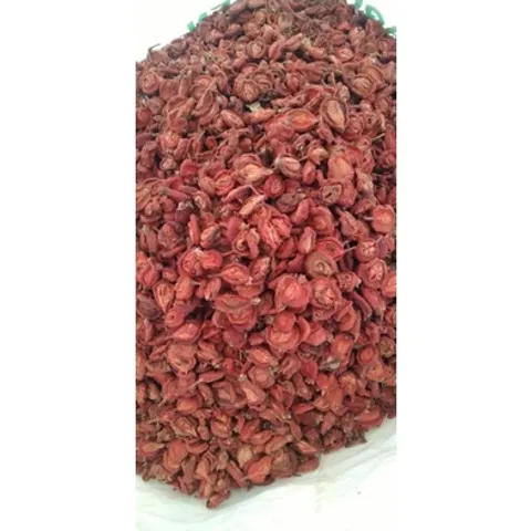 Táo Mèo Khô Mù Cang Chải Yên Bái, Đặc Sản Tây Bắc, Nguyên Liệu Ngâm Tửu, Pha Trà 1Kg 868561