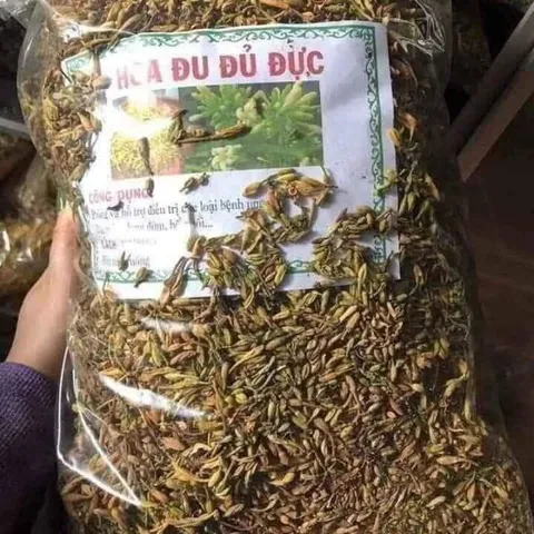 Hoa Đu Đủ Đực Khô 500g, Thảo Dược Tự Nhiên Thanh Lọc Cơ Thể, Giúp Ngủ Ngon, Tăng Cường Sức Khỏe 868565