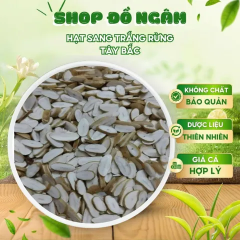 Hạt sang trắng rừng Tây Bắc, Nguyên liệu thảo mộc hạt dạ dày hạt sành già ruột trắng cắt lát sẵn 868567