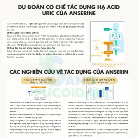 Bổ sung Anserine Premium 55mg | Hộp 120 viên Nhật Bản | Hỗ trợ giảm các triệu chứng của Gout