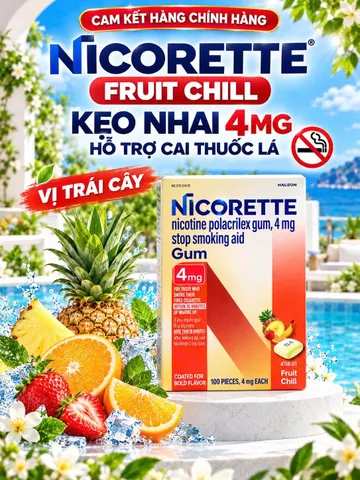 KẸO CAO SU HỖ TRỢ GIẢM CƠN THÈM NICORETTE GUM 4MG HƯƠNG TRÁI CÂY (HỘP 100 VIÊN) – NỘI ĐỊA MỸ