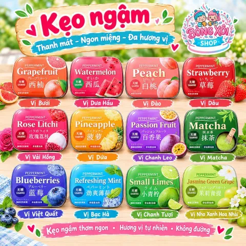 Hộp kẹo ngậm 16g 12 vị