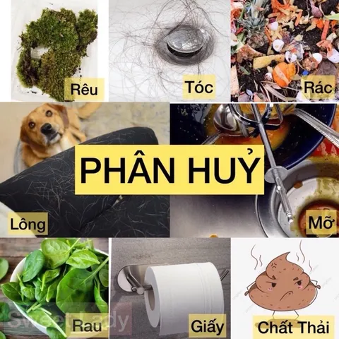 COMBO(MUA 20 TẶNG 2) GÓI SINH HỌC THÔNG TẮC NGHẼN ĐƯỜNG ỐNG, CHẬU RỬA, BỒN CẦU,.... GÓI 100G