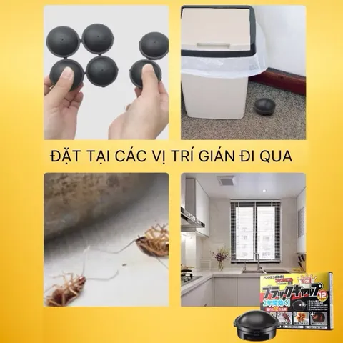 Viên diệt gián Nhật 12 viên, an toàn cho mọi người và vật nuôi