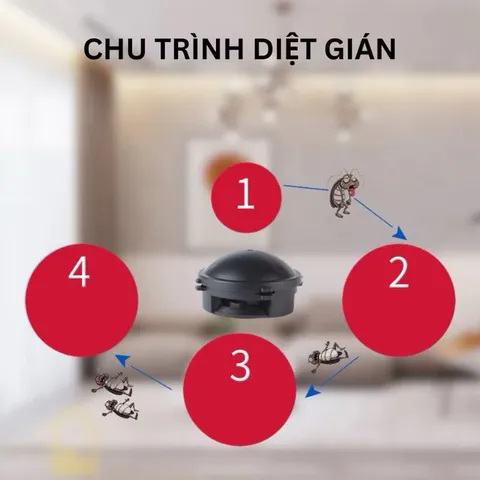 Viên diệt gián Nhật 12 viên, an toàn cho mọi người và vật nuôi