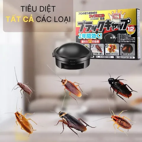 Viên diệt gián Nhật 12 viên, an toàn cho mọi người và vật nuôi