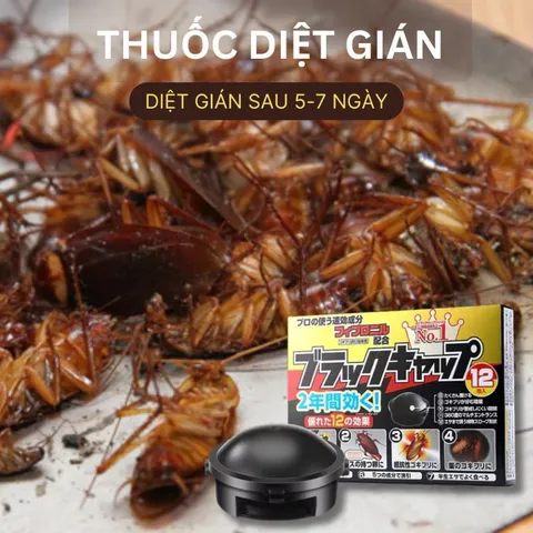 Viên diệt gián Nhật 12 viên, an toàn cho mọi người và vật nuôi