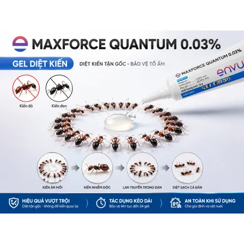 (Chính hãng) Thuốc Diệt Kiến Sinh Học MAXFORCE QUANTUM 0.03%-12g - chuyên diệt kiến đen, kiến gió, kiến vàng