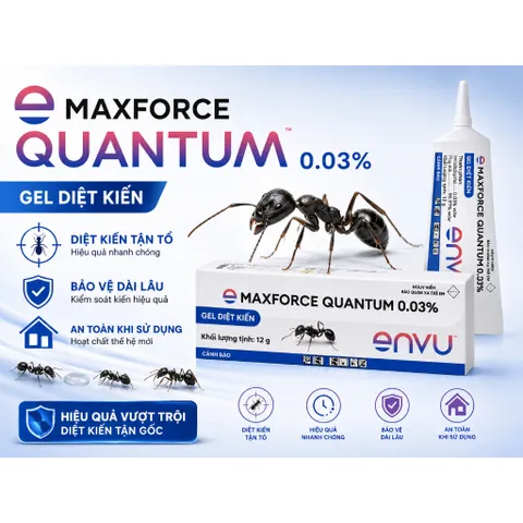 (Chính hãng) Thuốc Diệt Kiến Sinh Học MAXFORCE QUANTUM 0.03%-12g - chuyên diệt kiến đen, kiến gió, kiến vàng