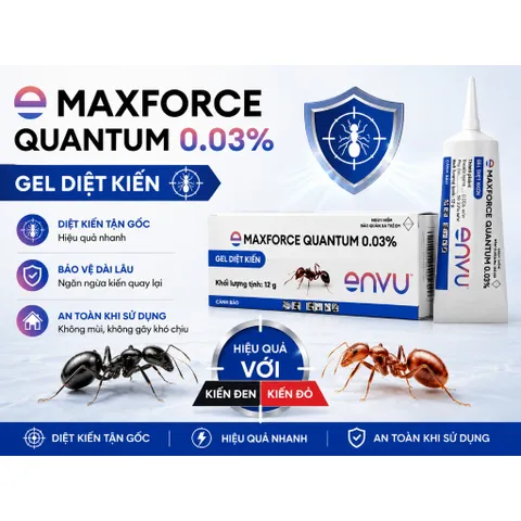 (Chính hãng) Thuốc Diệt Kiến Sinh Học MAXFORCE QUANTUM 0.03%-12g - chuyên diệt kiến đen, kiến gió, kiến vàng