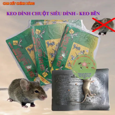 Keo dính CHUỘT - Siêu Dính - Miếng keo dán chuột - Miếng bẫy chuột- keo tốt Lớp keo dày