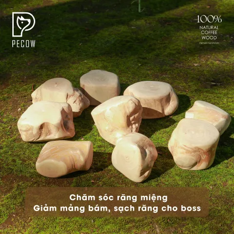 (Size L) Cục gỗ gặm cà phê cho thú cưng - Chăm sóc răng miệng, Giảm căng thẳng cho thú cưng