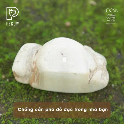 (Size L) Cục gỗ gặm cà phê cho thú cưng - Chăm sóc răng miệng, Giảm căng thẳng cho thú cưng