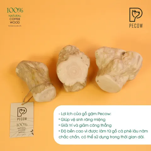 Gỗ gặm PeCow - Vệ sinh răng miệng, giảm căng thẳng size M